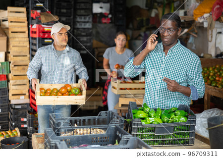 Owner of vegetable warehouse is talking on mobile phone while other workers are sorting vegetables Owner of vegetable warehouse is talking on mobile phone while other workers are sorting vegetables 96709311
