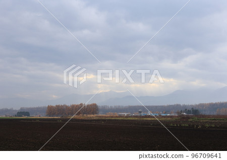 北海道十勝地區的農場風景 北海道十勝地區的農場風景 96709641