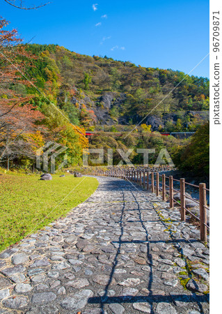 Hana no Watarase Park, Watarase River, autumn leaves, autumn scenery Hana no Watarase Park, Watarase River, autumn leaves, autumn scenery 96709871