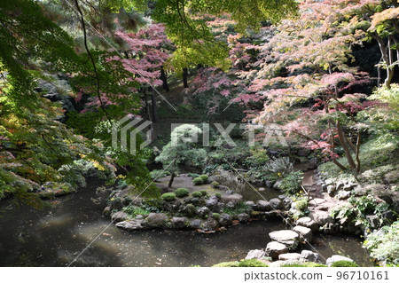 A garden where the leaves begin to turn red and orange A garden where the leaves begin to turn red and orange 96710161