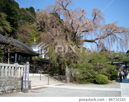 Minobusankuonji Minobusankuonji 96710185