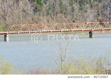 Lake Katsurazawa in spring and submerged trees 96710907