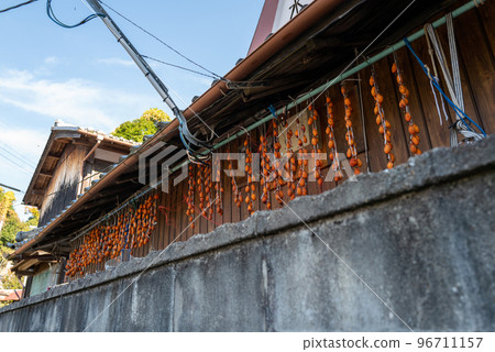 Hanging persimmon 96711157