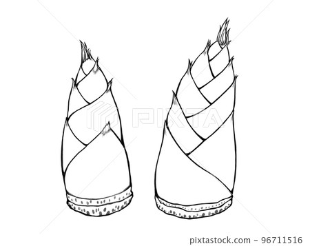 Bamboo shoots simple line drawing illustration set 96711516