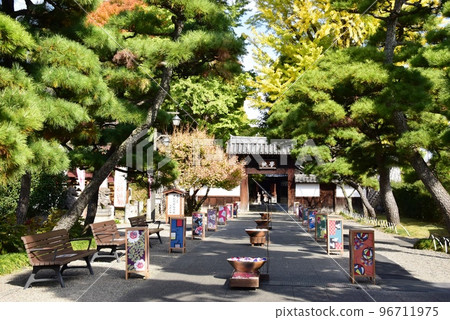 Ashikaga City Ashikaga School Gate, Row of Pine Trees and Hanasui 96711975