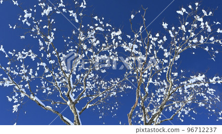 snow scene trees snow flowers snow scene trees snow flowers 96712237
