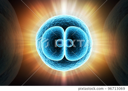 3d rendered Digital illustration Zygote Cell Division in color background 96713069