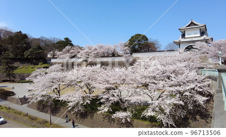 在金澤城公園的櫻花 96713506