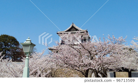 在金澤城公園的櫻花 96713509