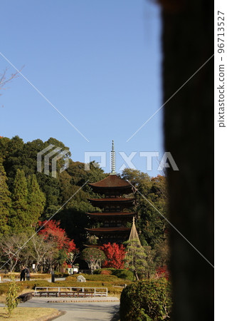 日本的秋天 紅葉和琉璃光寺（小山公園紅葉） 96713527