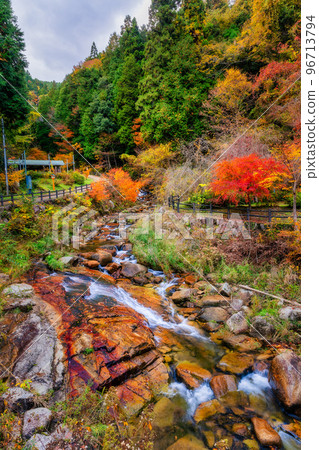 秋天的美山峽(廣島縣山形郡秋太田町加計) 秋天的美山峽(廣島縣山形郡秋太田町加計) 96713794