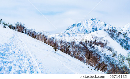 冬季托米嶺徒步旅行 96714185