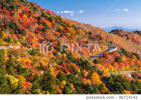 "Fukushima Prefecture" Autumn leaves in Tengu's garden / Bandai Azuma Skyline "Autumn leaves at its peak" 96714542