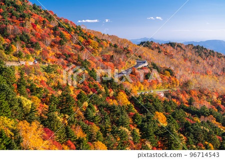 "Fukushima Prefecture" Autumn leaves in Tengu's garden / Bandai Azuma Skyline "Autumn leaves at its peak" 96714543