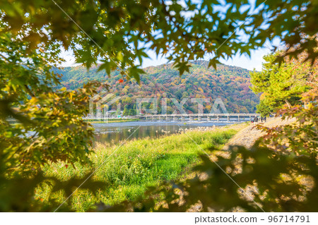 越過桂川的嵐山和渡月峽的紅葉盛景|京都府京都市 越過桂川的嵐山和渡月峽的紅葉盛景|京都府京都市 96714791