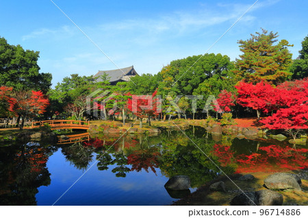 [Nara Prefecture] Autumn leaves at Sanja Takusen Pond in Nara Park 96714886