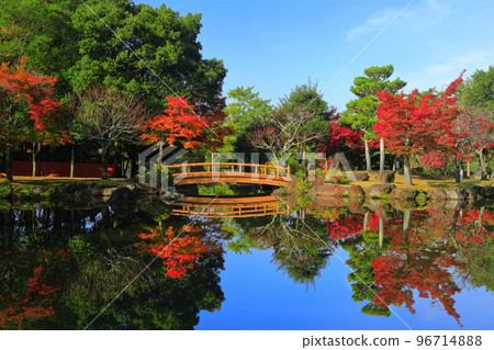 [Nara Prefecture] Autumn leaves at Sanja Takusen Pond in Nara Park 96714888