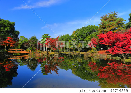[Nara Prefecture] Autumn leaves at Sanja Takusen Pond in Nara Park 96714889