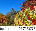 Flower wall towering in the blue sky 96715032