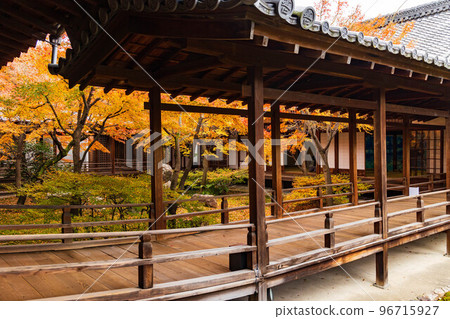 秋天在東山，京都建仁寺與秋葉 Choontei 96715927