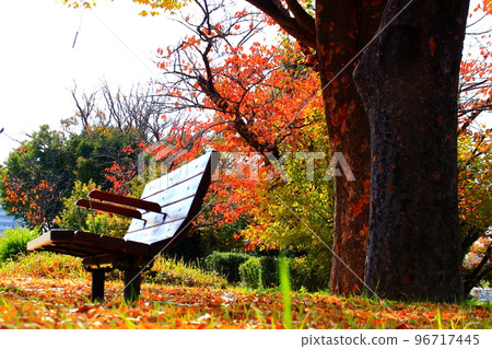 枯葉中的長凳 96717445