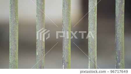 Iron bars used for animal cages in zoos 96717649