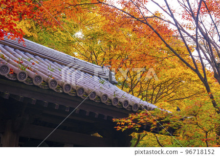 圓光寺美妙的秋葉和鍾樓（京都市左京區一乘寺） 96718152