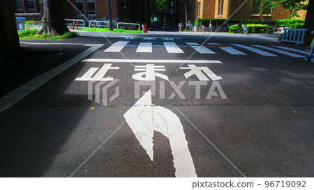東京大學校園內的各種風景（東京都文京區本鄉） 96719092