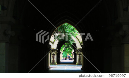 Various scenery on the campus of the University of Tokyo (Hongo, Bunkyo-ku, Tokyo) Various scenery on the campus of the University of Tokyo (Hongo, Bunkyo-ku, Tokyo) 96719097