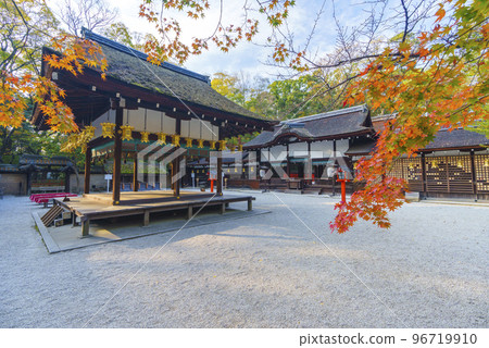 Kawai Shrine: Red maple leaves and hall of worship (Shimogamo Izumigawa-cho, Sakyo Ward, Kyoto City) Kawai Shrine: Red maple leaves and hall of worship (Shimogamo Izumigawa-cho, Sakyo Ward, Kyoto City) 96719910