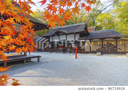 Kawai Shrine: Red maple leaves and hall of worship (Shimogamo Izumigawa-cho, Sakyo Ward, Kyoto City) 96719916