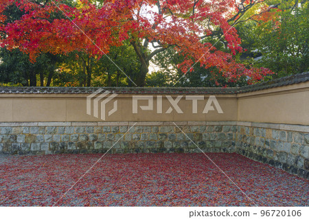 Fallen leaf carpet in front of the former Mitsui family Shimogamo villa Fallen leaf carpet in front of the former Mitsui family Shimogamo villa 96720106