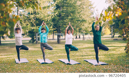 Concentrated young ladies yogini are balancing on one leg with raised arm in Tree pose then lowering hands in Namaste and relaxing. Nature, recreation and sports concept. 96720405