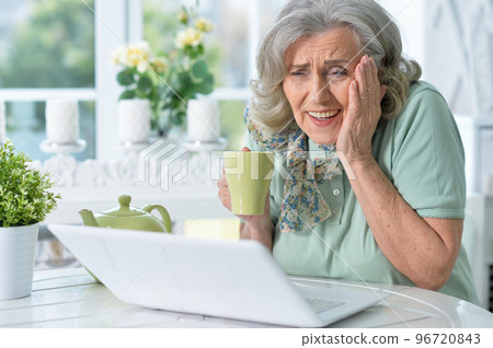 Portrait of beautiful senior woman sitting at table with laptop 96720843