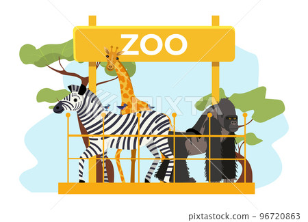 African animal zoo place poster herbivore zebra, giraffe and gorilla, zoological garden flat vector illustration, isolated on white. African animal zoo place poster herbivore zebra, giraffe and gorilla, zoological garden flat vector illustration, isolated on white. 96720863