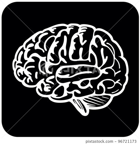 Brain icon in black and white 96721173