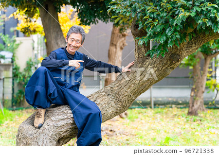 Senior man climbing a tree gardener gardener Senior man climbing a tree gardener gardener 96721338