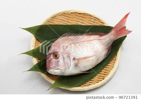白背景竹籃上放著紅海鯛 白背景竹籃上放著紅海鯛 96721391