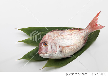 Red sea bream placed on bamboo with a white background 96721413