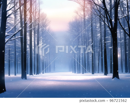 這是一片被樹木包圍的雪道，沒有一個足跡。 96721562