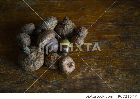 Acorns and hats that fell from the acorn tree in autumn Acorns and hats that fell from the acorn tree in autumn 96721577