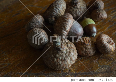 Acorns and hats that fell from the acorn tree in autumn Acorns and hats that fell from the acorn tree in autumn 96721580