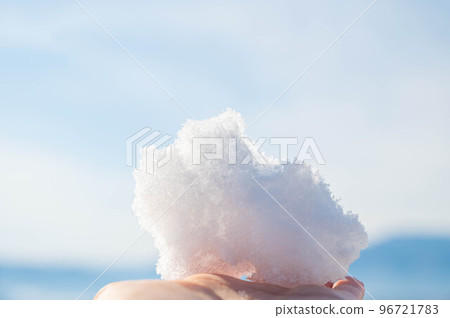 沐浴陽光的掌心雪 96721783