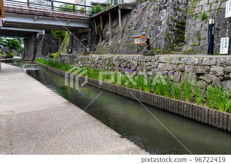 Hana iris (Japanese iris) tourist attraction: Hana irises are in full bloom along the Takase River. (Kyushu, Tamana City, Kumamoto Prefecture) Hana iris (Japanese iris) tourist attraction: Hana irises are in full bloom along the Takase River. (Kyushu, Tamana City, Kumamoto Prefecture) 96722419