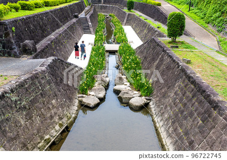 Hana iris (Japanese iris) tourist attraction: Hana irises are in full bloom along the Takase River. (Kyushu, Tamana City, Kumamoto Prefecture) 96722745