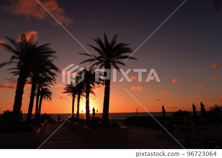 在佛羅里達海灘的日落 在佛羅里達海灘的日落 96723064