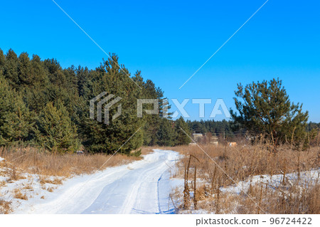Snowy rural road in the pine forest at winter 96724422
