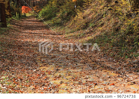 Nakasendo Kisoji Torii Pass Stone pavement on the Yabuhara side 96724738