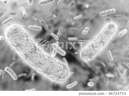Lactic acid bacteria Lactic acid bacteria 96724753