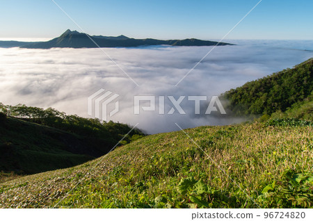 山坡森林和雲 96724820